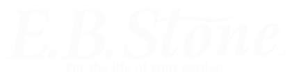 EB Stone & Son