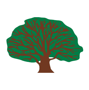 Tree Service | Richmond, VA - All Stumps Plus