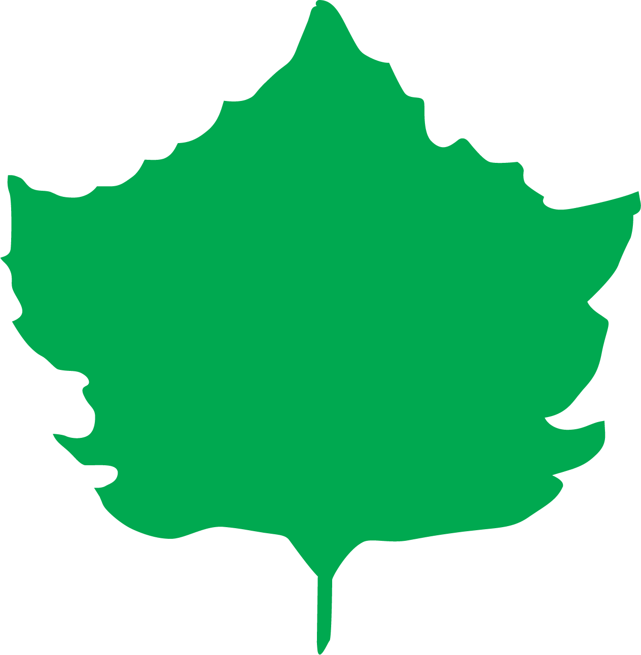 Sycamore Services, Inc.