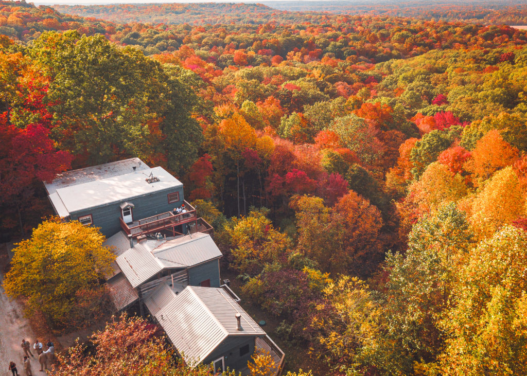 Home - Treetop