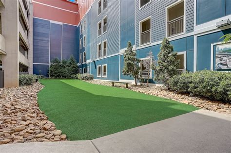 Elizabeth Station | Luxury Apartments in Charlotte, NC