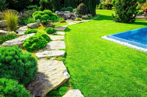 GreenWish LLC