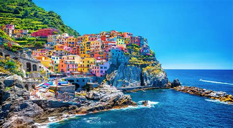 Cruise Planners - Terry Rife, CTC Travel Advisor