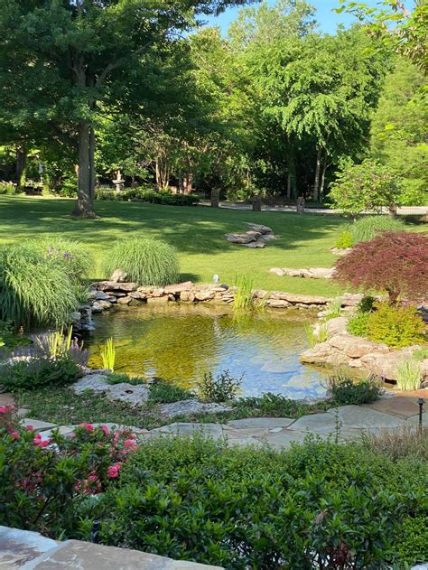Backyard Depot