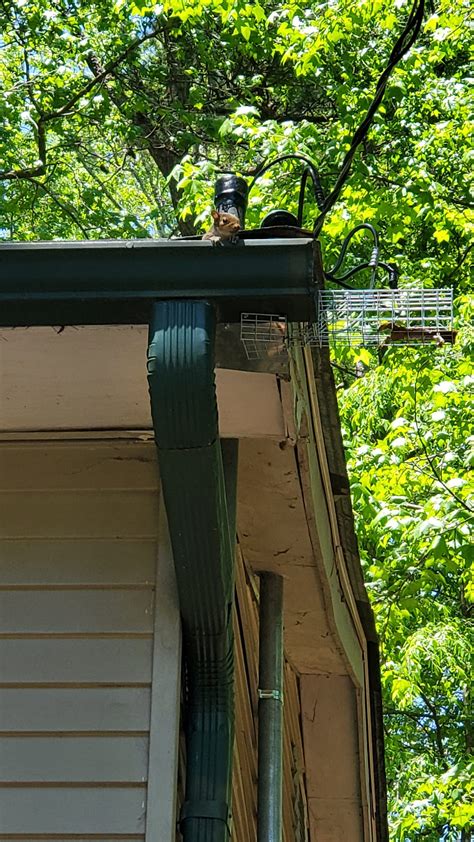 Resolve Pest Control, Inc.