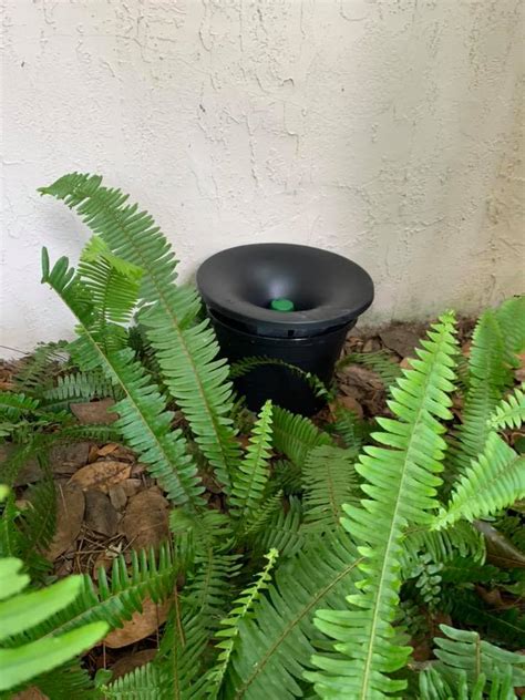 Sentry Termite & Pest Control