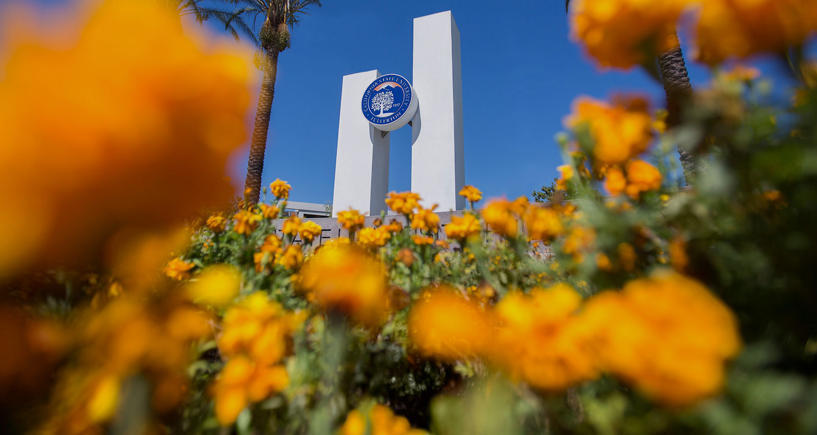 Califoria State University of Fullerton