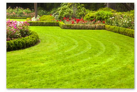 Locust Hill Landscaping