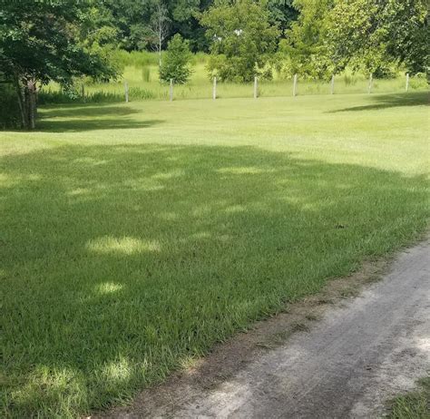 Country Morning Lawn Care