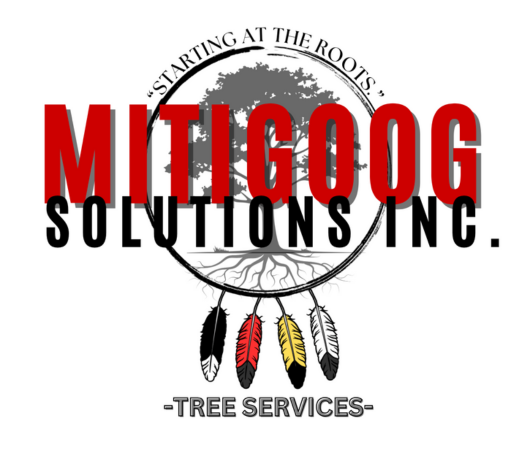 Mitigoog Solutions Inc.