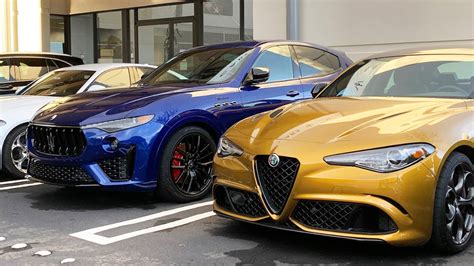 Alfa Romeo of Marin