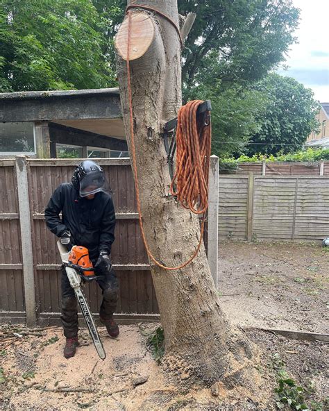 Samuel George Tree Services Ltd