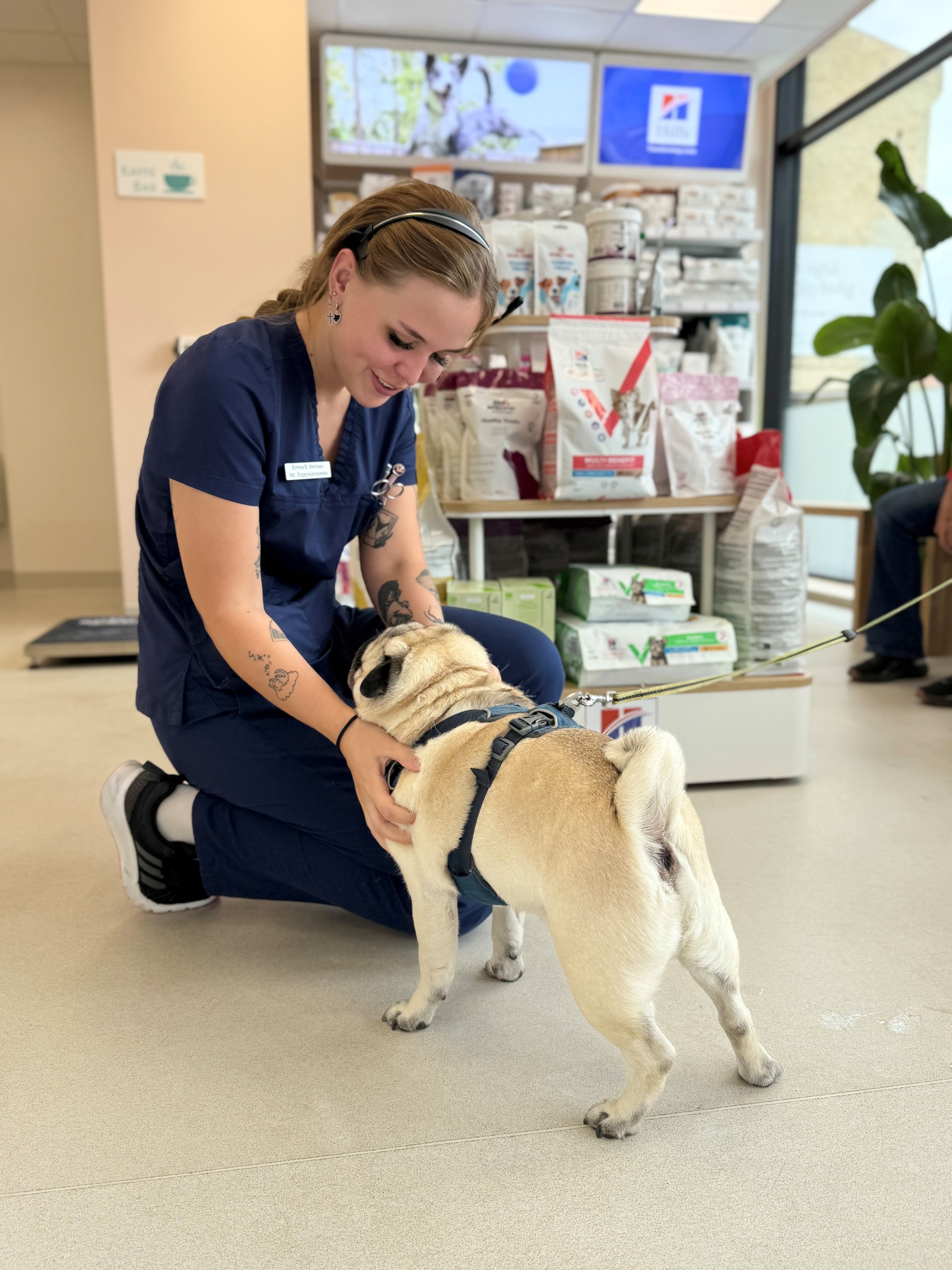 Avedøre Dyreklinik ApS