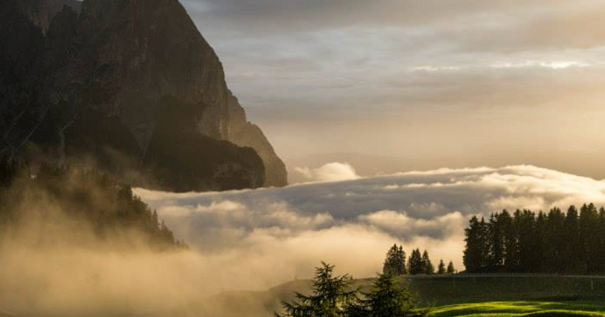 Hotel Salegg- Sito ufficiale - Alpe di Siusi