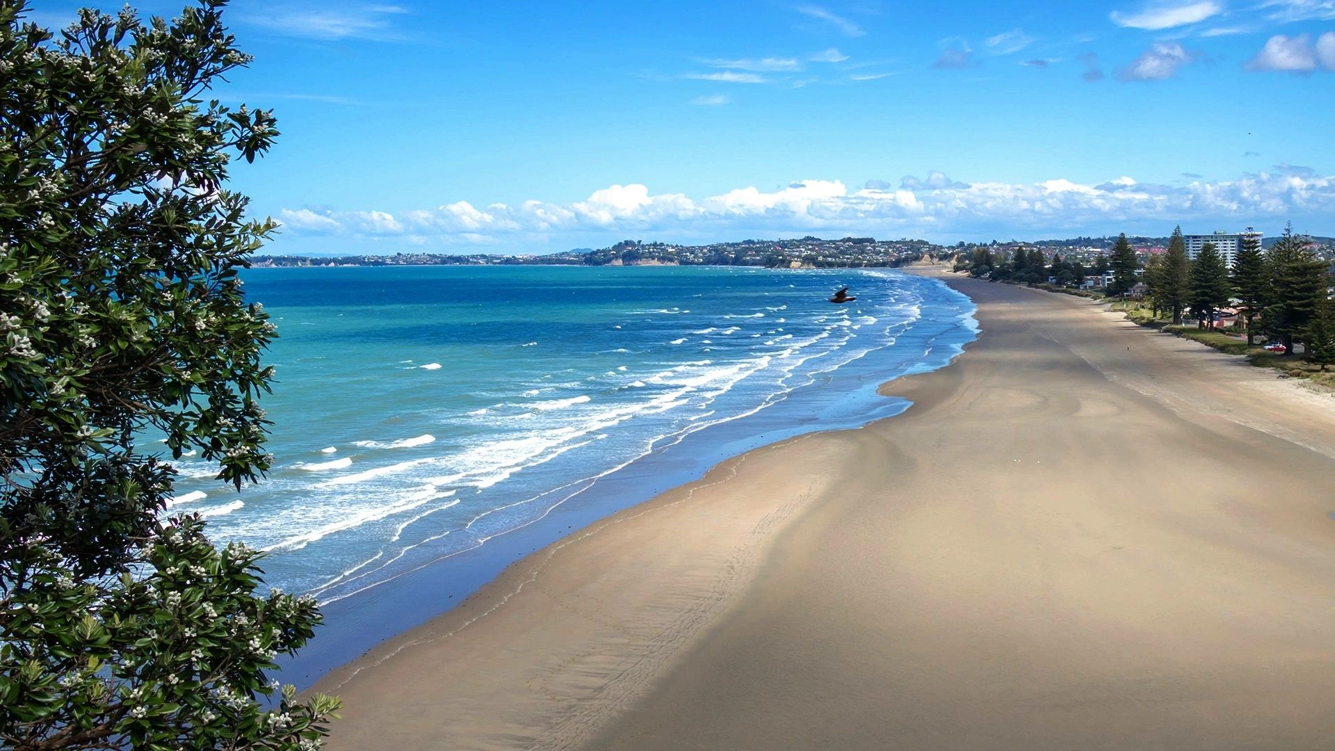 Orewa Beachcomber