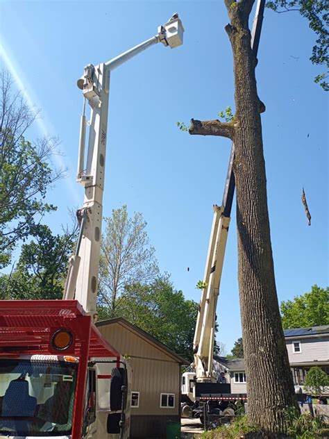 Meinhart's Tree Service