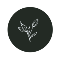 empowerppt.com