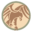 raptorpestcontrol.net