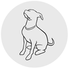 K9 Communication LLC