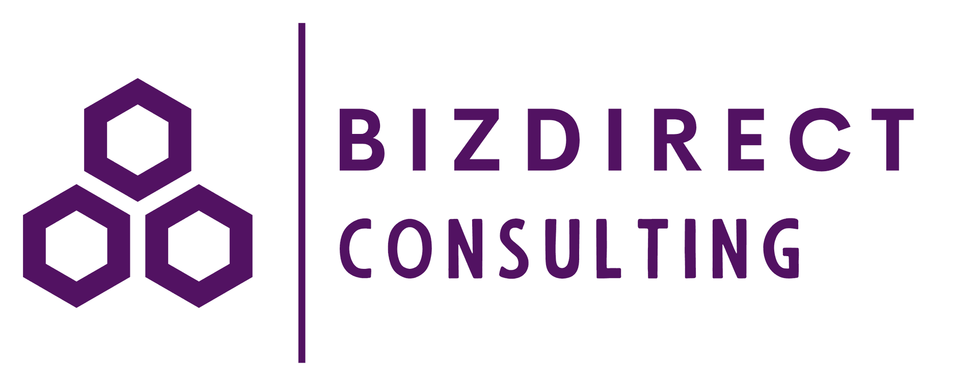 bizdirectconsulting.com