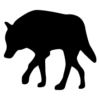 LEESAR Inc.