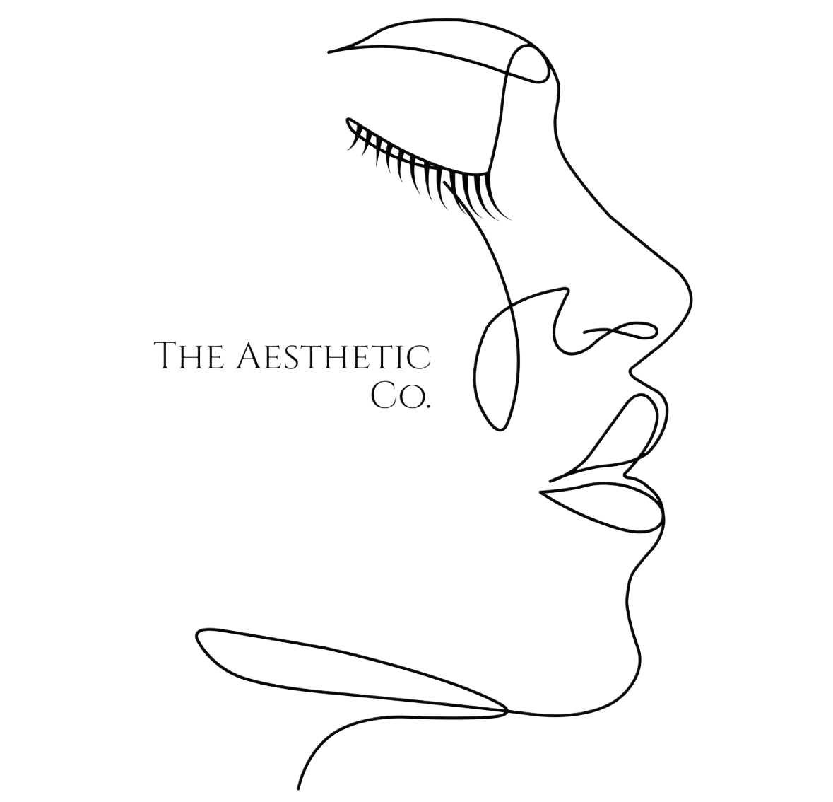 ᴛʜᴇ 𝔸𝕖𝕤𝕥𝕙𝕖𝕥𝕚𝕔 ᴄᴏ.