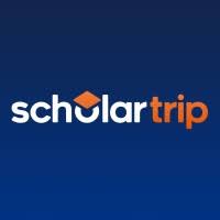 scholartt.com
