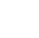 A1 Performance