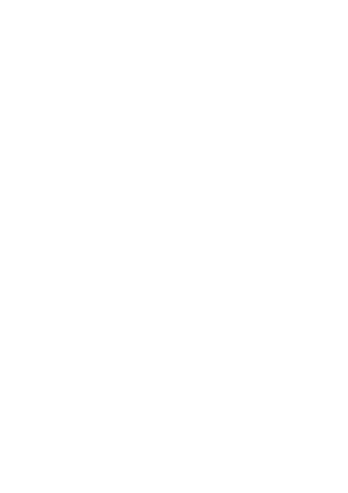 Nix