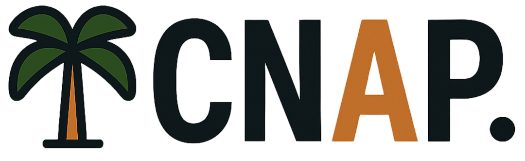 CNAP - Cloud-Native Application Platform