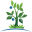 naimilandscape.qa