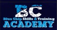 Blue Chip Skills & Training Academy